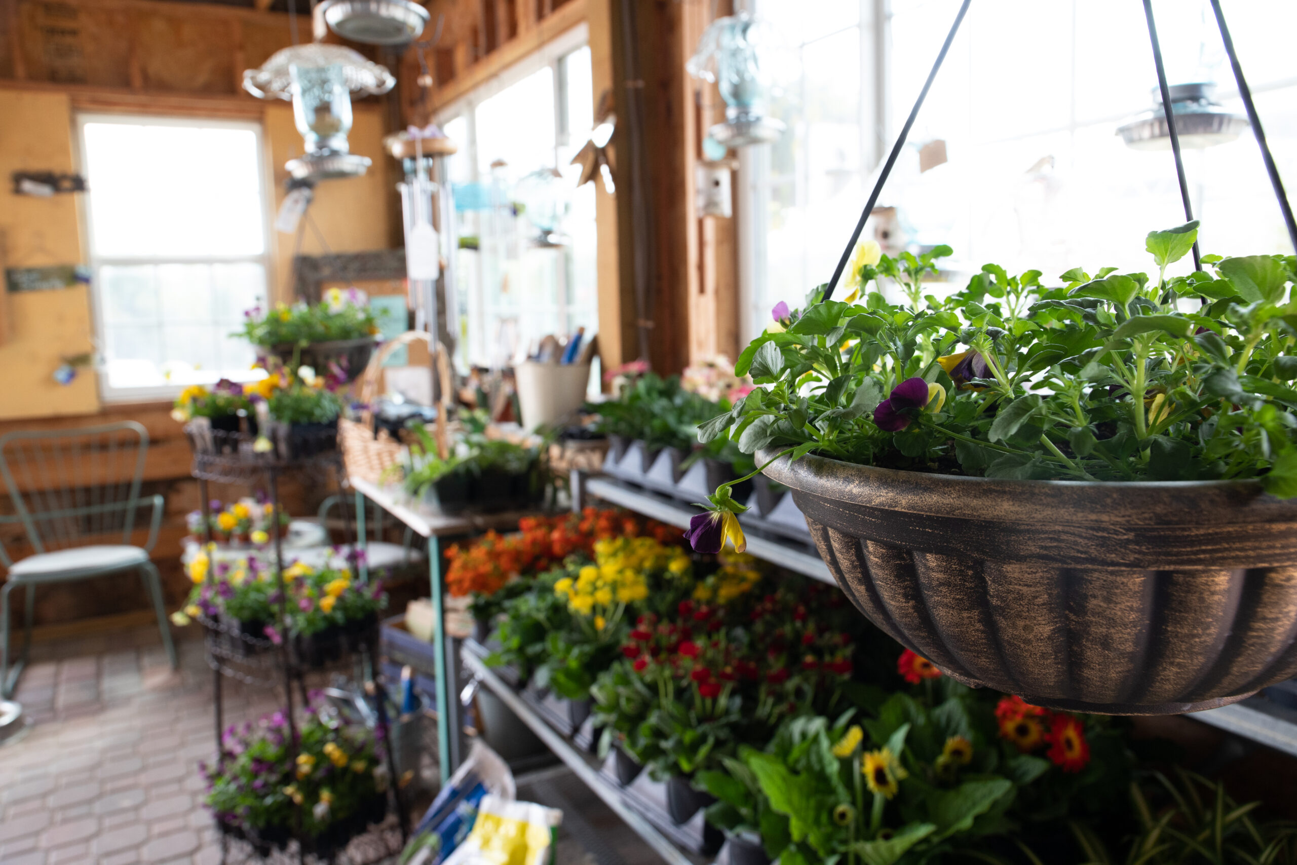 0241adcb60308e0401e60944596b2df6