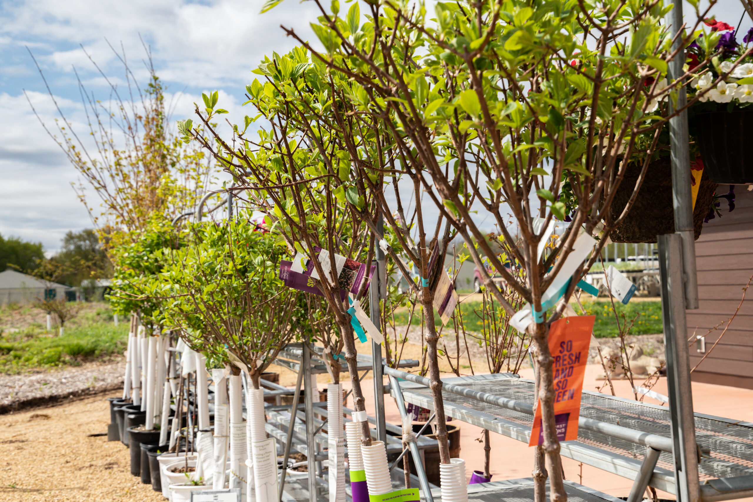 0e8d2b204b631d17935d1bb2f3cbcf27