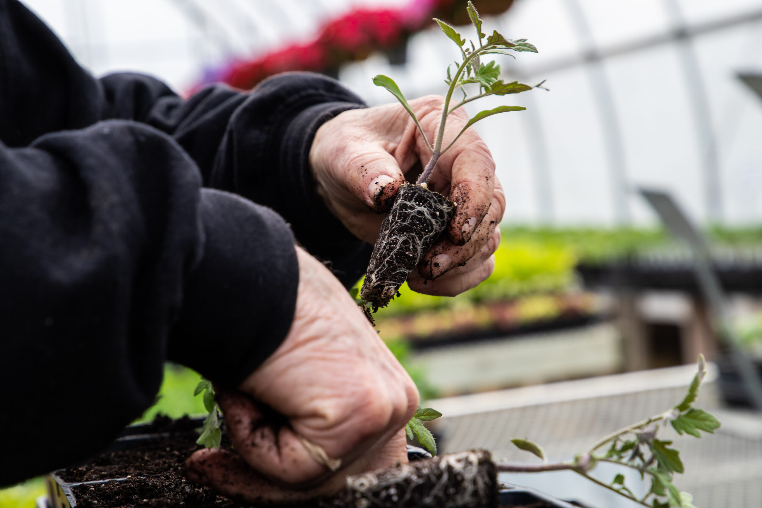 5a2945d4d83cd325e77658d47d10ed38