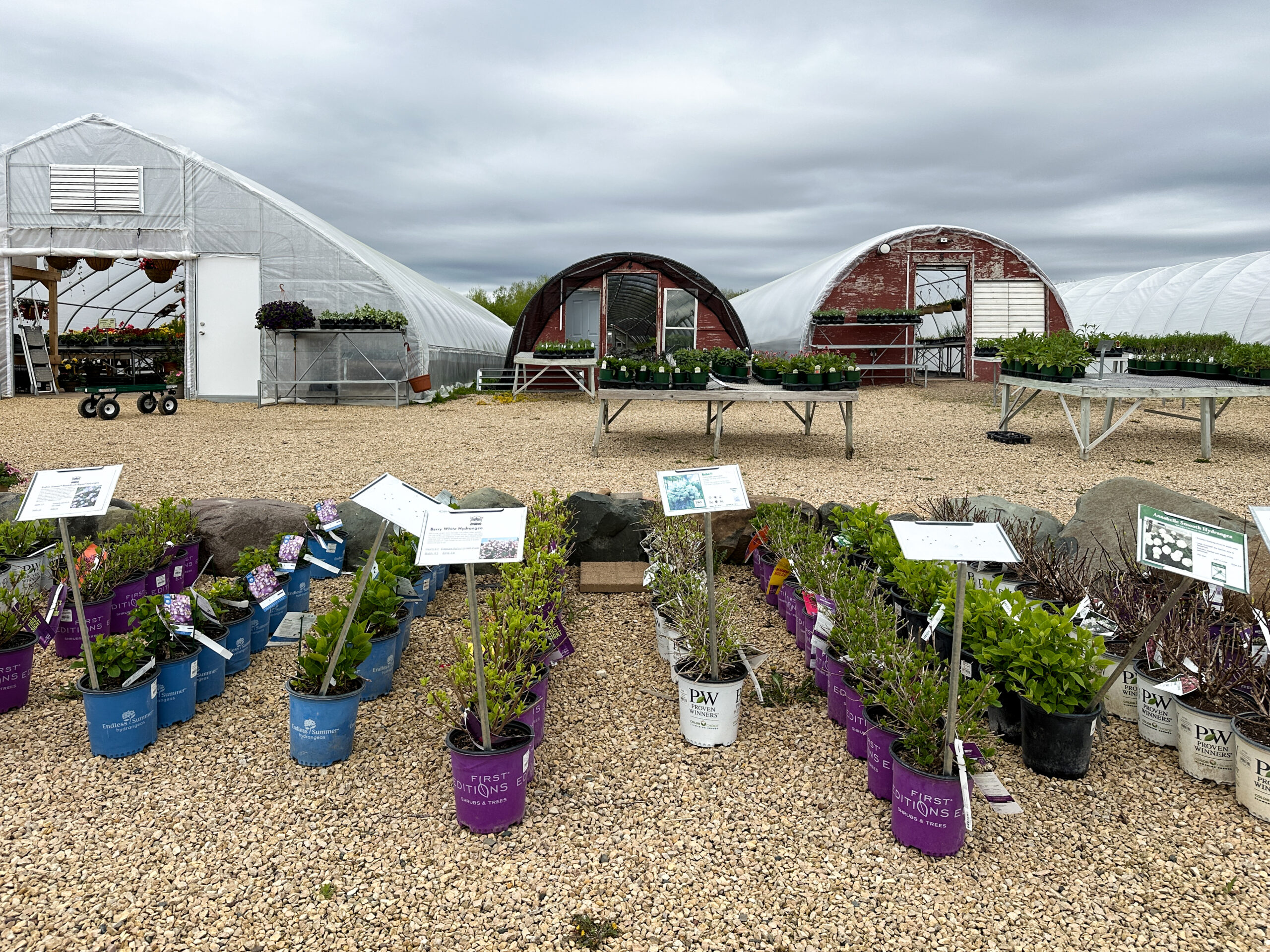 72f22a020778c386d781b0d90ef3541d