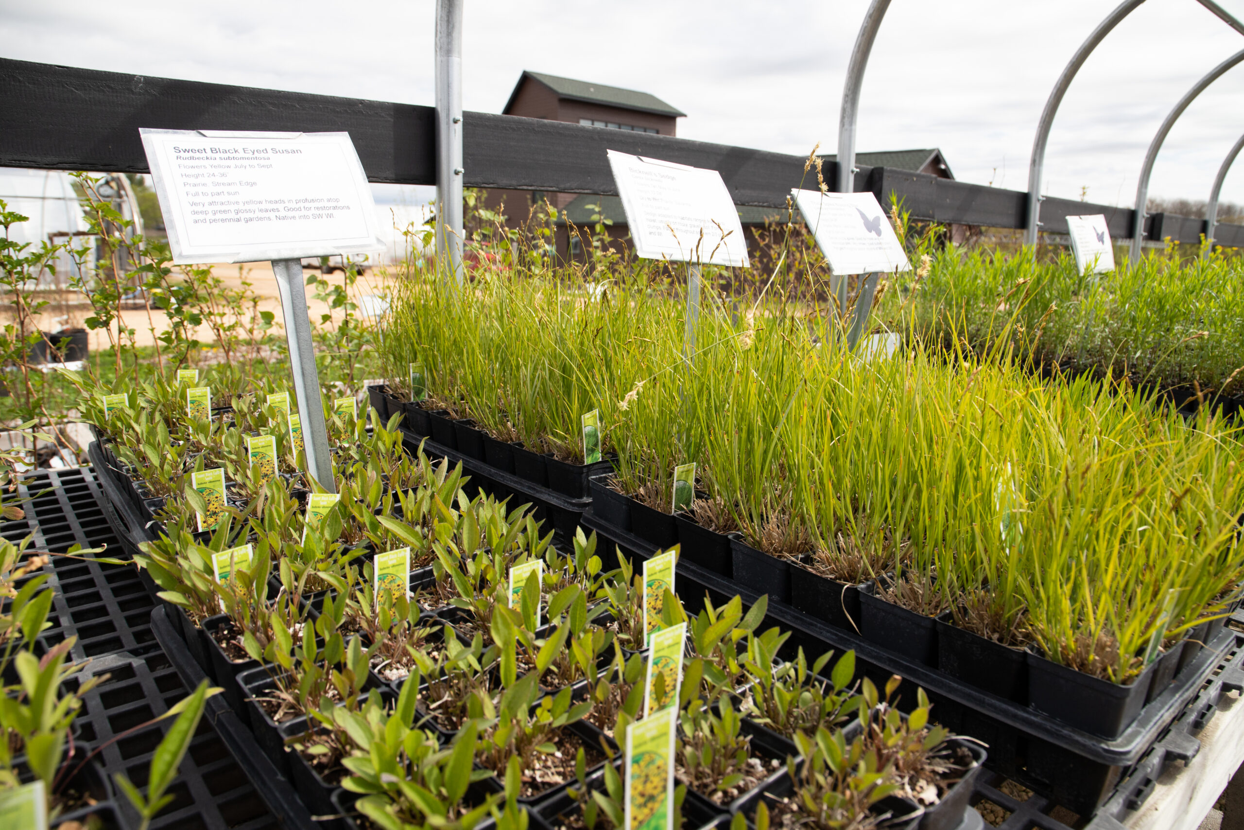 79ddde94563e96a2a4436c133fcbd970