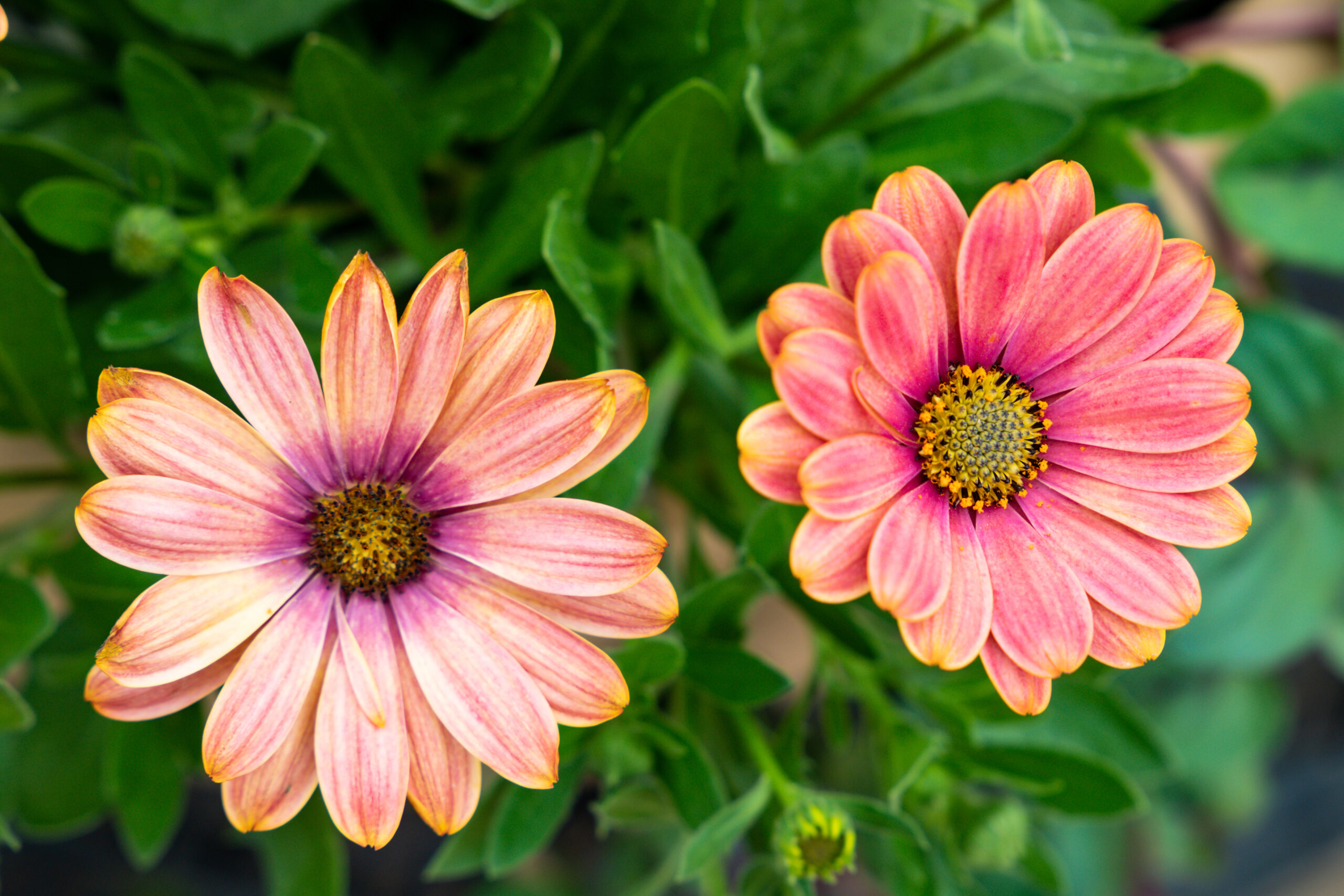 cd5c78a9b980acb09b2a3075b941d859