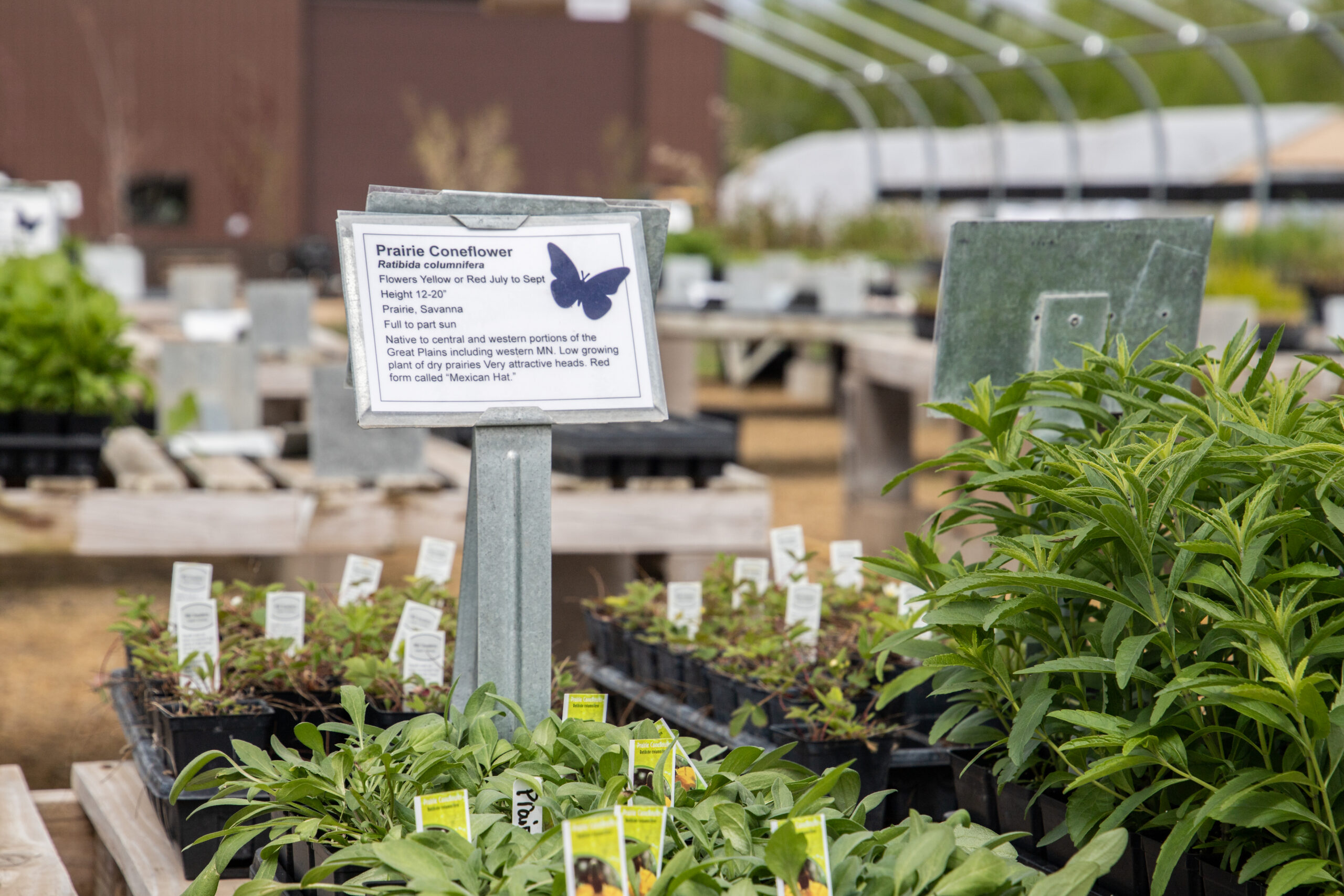 cee5e309756f3124d508bf4c65b6821b