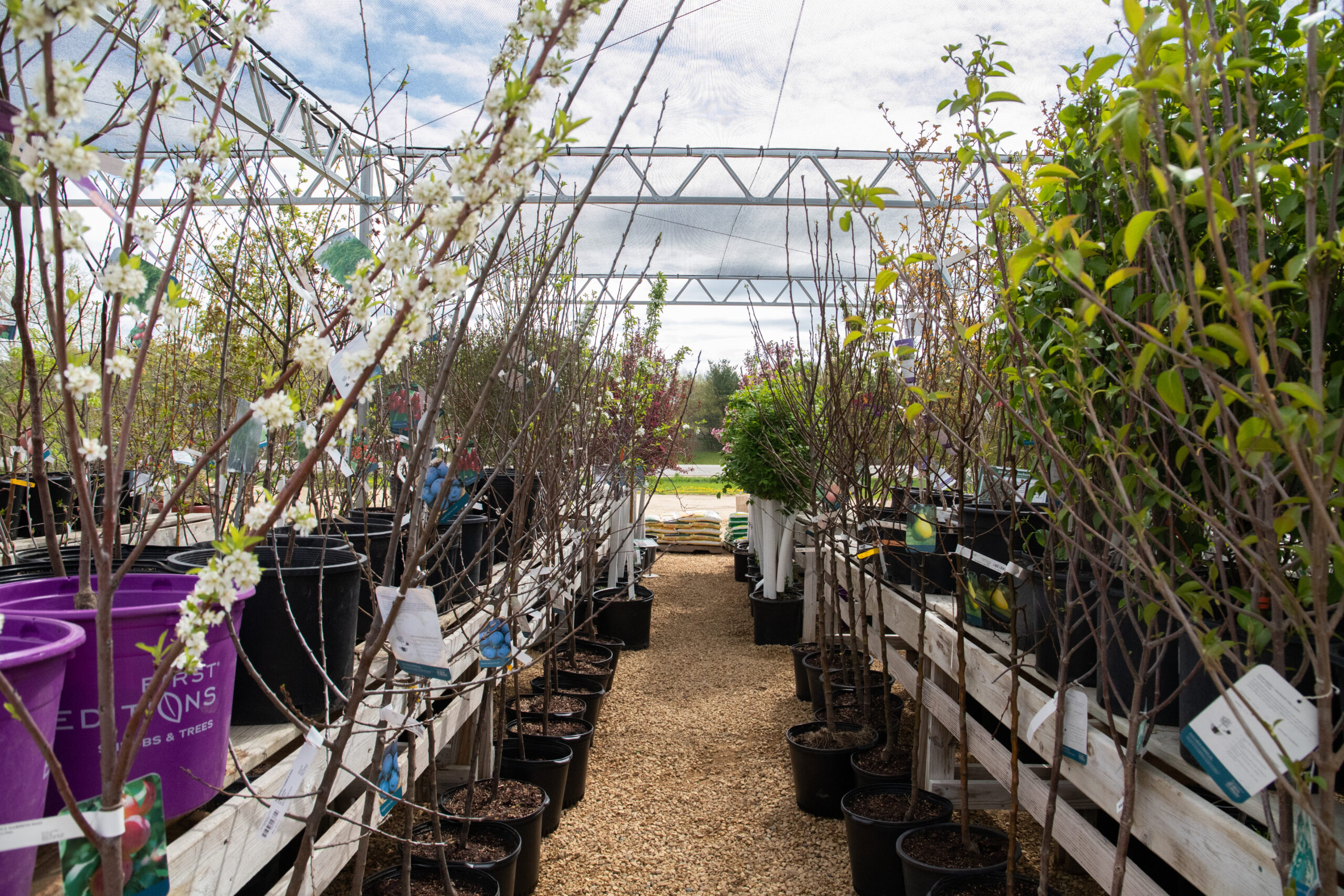 da579aecf2a538186a6c164462cf24959